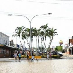 الإمارات تحاكم 150 سعودياً طمسوا لوحات سياراتهم