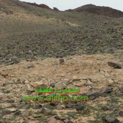 الإمارات تحاكم 150 سعودياً طمسوا لوحات سياراتهم