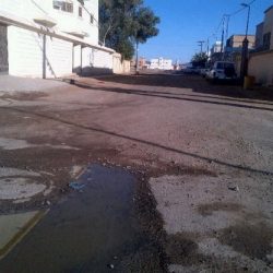 3 شركات و3 مناهج لتعليم رياض الأطفال