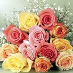 أهالي عفيف: يطالبون بوضع حد ” للاستهتار” بمركبات المواطنين