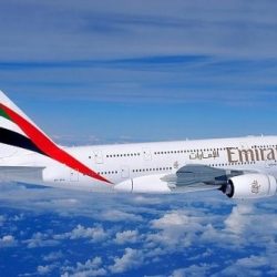 «طاقات»: 1.3 مليون مواطن يتنافسون على 1600 وظيفة في القطاع الخاص