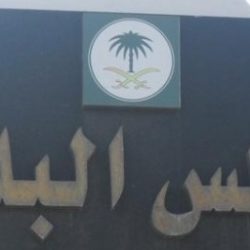 الخدمة المدنية” تعلن أسماء 171 متقدمة للوظائف التعليمية النسوية وستة معلمات لعفيف