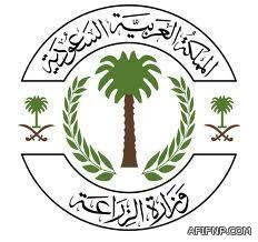 الرويس يقوم بجولة تفقدية لمرافق كلية التربية والسنة التحضيرية للبنات بمحافظة عفيف