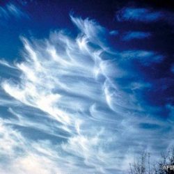 مغص كلوي يجبر طائرة على الهبوط