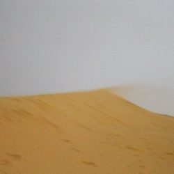 الشيخ عبيد ابراهيم الشيباني في ذمة الله