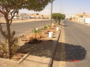 التسلل في موسم الخنازير بمباركة من إدارة التعليم