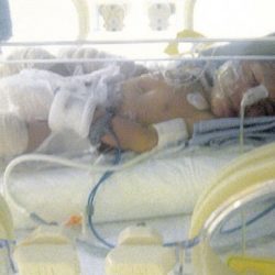 وفاة الدكتور نجاح علي عضوة هيئة التدريس بكلية التربية للبنات بمحافظة عفيف