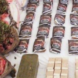 على خلفية حجب «الواتساب» و «الفايبر» و «السكايب» نائبا محافظ الاتصالات يرفضان التعليق