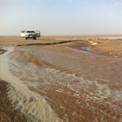 مجلس الوزراء يوافق على منح زوجة المبتعث علاوة تعادل مكافأته الشهرية