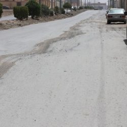 أوباما : “حان الوقت” لإصلاح نظام الهجرة