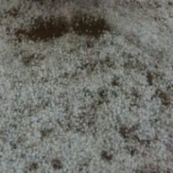 اعتماد الفصل الصيفي لعدد من مدارس نظام المقررات