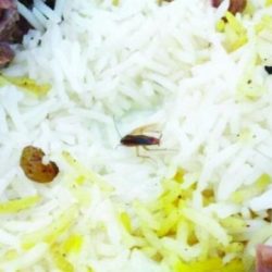 “التربية” لمديريها: تدريب معلمات “الأهلية” ليس شأننا