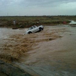 الشورى: توصيات لإنشاء مراكز فحص الالكترونيات بالمنافذ