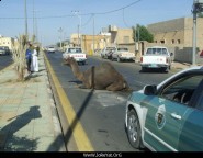 القصاص من جاني خطف طفلين وفعل الفاحشة بهما