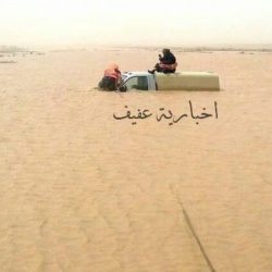 الخدمة المدنية تدعو 103 مرشحين من المتقدمين لمفاضلة الدبلومات دون الجامعية لمراجعة فروعها