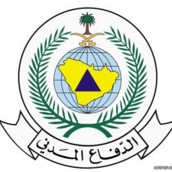 التربية تطلق نظامًا إلكترونيًا لإنهاء معاملات إصدار الشهادات والوثائق الدراسية