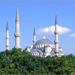 العمل : لا صحة لتقليص احتساب السعودي في «نطاقات»