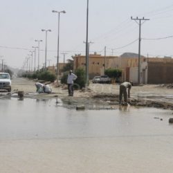 العمل : لا صحة لتقليص احتساب السعودي في «نطاقات»