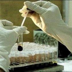 تبقى الرؤية غير جيدة على وسط و شرق وغرب المملكة