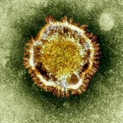 الحرس الوطني يعلن عن توفر عدد من الوظائف الشاغرة