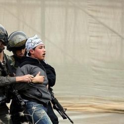 بالصور .. وفاة مقيم واصابة 45 راكباً في تصادم حافلة ركاب وشاحنة بمركز المعلق شرق محافظة عفيف