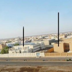 الشرطة تلاحق لصوصا سرقوا 23 رأس غنم في “صقرة عفيف”