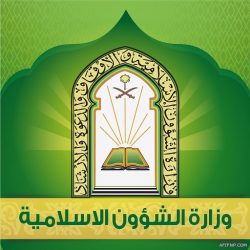 عقوبات لمخالفي التأنيث تصل إلى الإغلاق وإلغاء السجلات التجارية