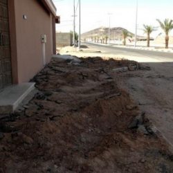 ايداع مكافأة شهر رمضان في حسابات الطلاب