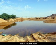 أسماء المتوفين الذين تم تسليم جثامينهم في سيول جدة