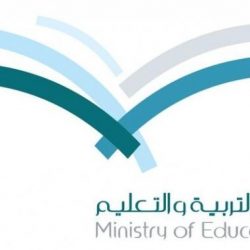 الخدمة المدنية تعلن ترشيح 288 متقدمة للوظائف التعليمية النسوية 9 معلمات لتعليم عفيف