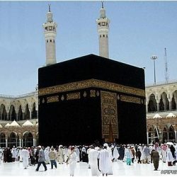 حماية أراضي المساجد بتسجيلها في أمانات المدن