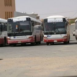 التربية تعتمد الآلية المنظمة لتسديد العجز من المعلمين والمعلمات في المدارس أثناء العام الدارسي