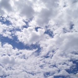 شاهر الدلبحي: شخصٌ انتحل اسمي وصرّح بمغالطات في “تويتر”