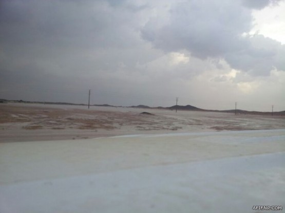 مرور عفيف ينقل السيارات المعروضه للبيع بالشارع العام للحجز