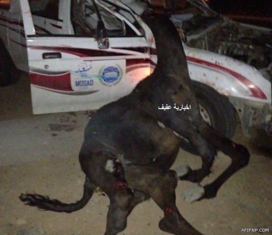 سماء صحو بوجهٍ عام على معظم المناطق