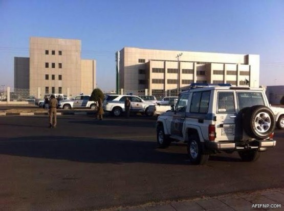 مدرسة الوليد بن عبد الملك في محامة بن زريبه تدشن موقعها على الإنترنت