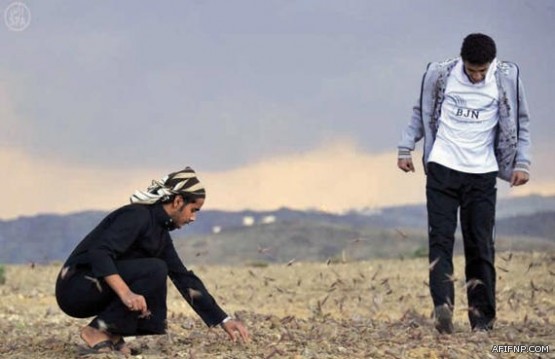 تأجيل الاختبارات ساعة واحدة بسبب البرودة