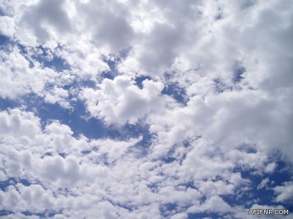 مقتل مقيم باكستاني في مضاربه جماعيه والقبض على الجاني