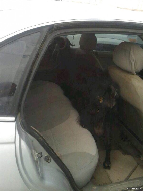 بدء تسجيل الطلاب والطالبات المستجدين بصف أول ابتدائي