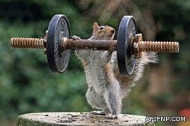 رئيس الهيئة: الأمير مقرن جدير بثقة الملك بفعل حنكته وسعة علمه