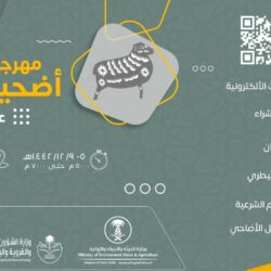 الإمارات تعلن أن الحريق الناجم عن انفجار إحدى الحاويات على متن سفينة بميناء جبل علي تحت السيطرة