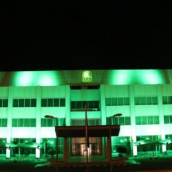 العثور على جثة متعفنة لمقيم مصري داخل منزل شعبي في عفيف