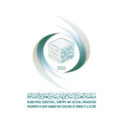 “التعليم” تنظم ورشة عمل حول تعزيز الشراكة بين القطاع الخاص والجامعات لخدمة الحج والعمرة