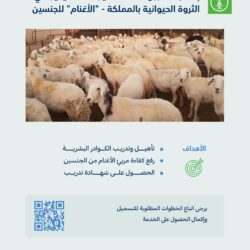 سمو ولي العهد يلتقي رئيس المجلس العسكري الانتقالي في جمهورية تشاد