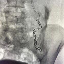 المملكة تستضيف قمة المجلس العالمي للسفر والسياحة الـ 22 في نوفمبر القادم