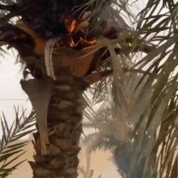 وزارة التعليم تطلق برنامج مساحة الابتكار الإثرائي لتعزيز نواتج التعلّم للطلبة الموهوبين