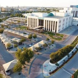 صدور قرار بوضع قاعدة عامة لمعاملة الموظفين والعمال في القطاعات المستهدفة بالتحول والتخصيص