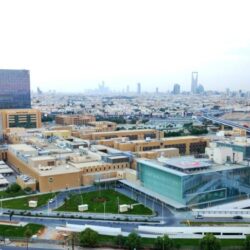 النيابة العامة: السجن (65) سنة وغرامات تجاوزت (29) مليون ريال لمهربي منتج مدعوم بطريقة غير مشروعة