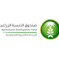 “وزير الحج” يطلق المنصة الوطنية للحج والعمرة “نسك”.. رسميًّا