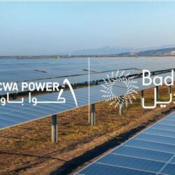 “الجمارك” توضح ضوابط استيراد الأدوية